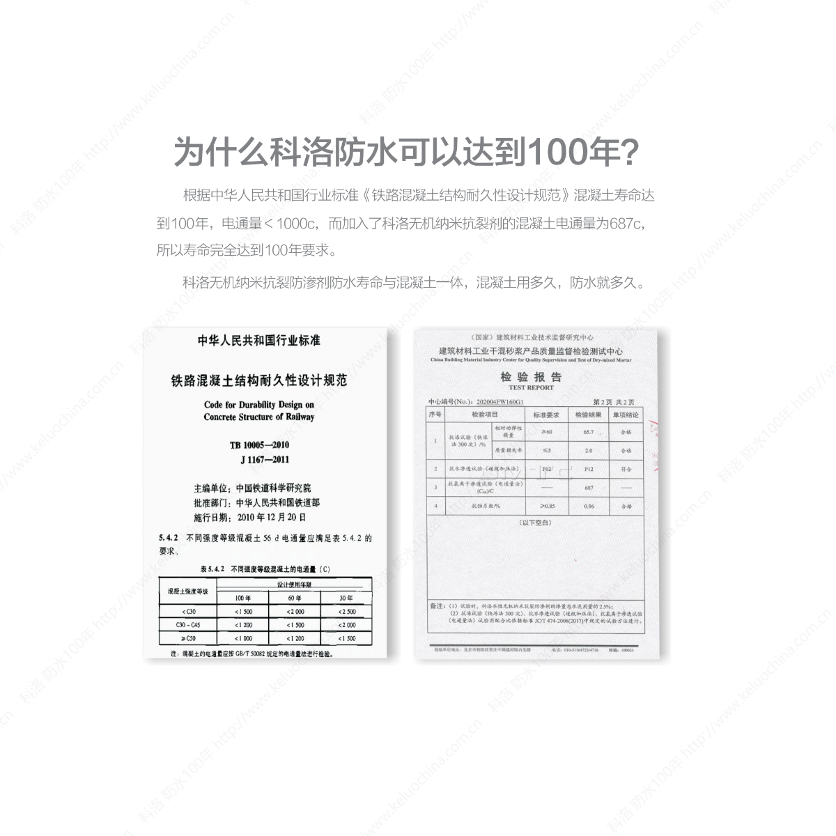 科洛大畫冊(cè)單頁_03